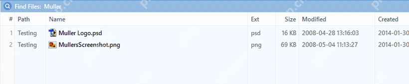 XYplorer Search Results 显示匹配文件名。