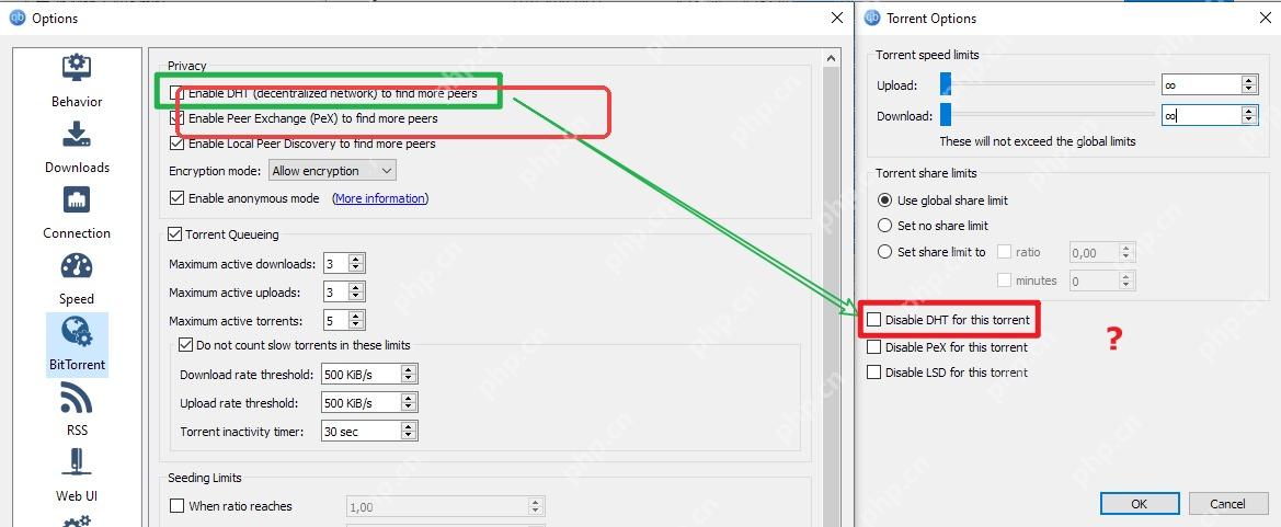 qBittorrent BitTorrent 页中的 Enable DHT 复选框