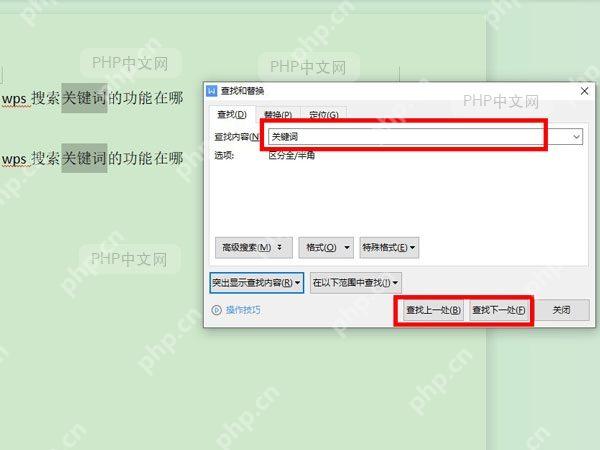 在 WPS 查找窗口中输入关键词并切换查找选项