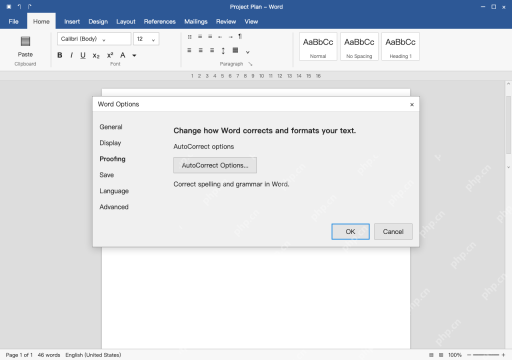 模拟 Microsoft Word完整窗口：打开校对中的自动更正选项