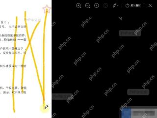 PDF播放时，如何使用荧光笔工具？设置效果