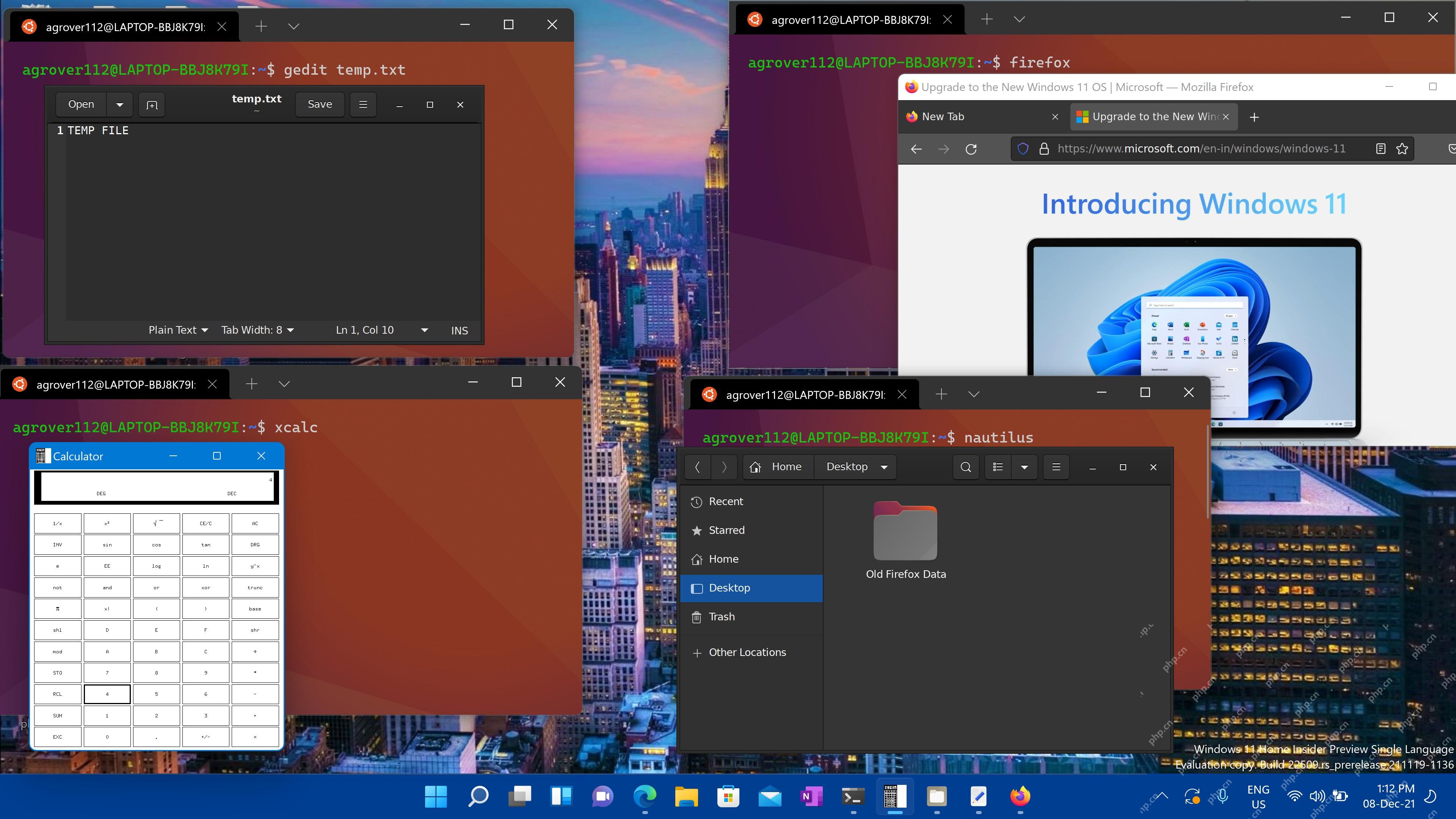 Windows 11 桌面上通过 WSLg 运行 gedit Firefox xcalc 和文件管理器