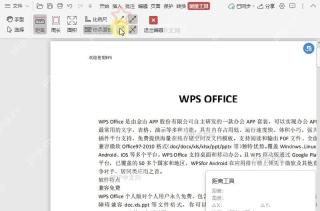 如何开启/关闭PDF测量工具中的“吸附端点”？结果检查