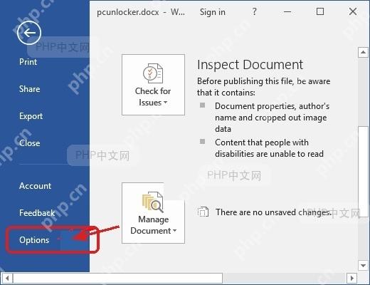 Word 文件后台页面左侧的选项入口