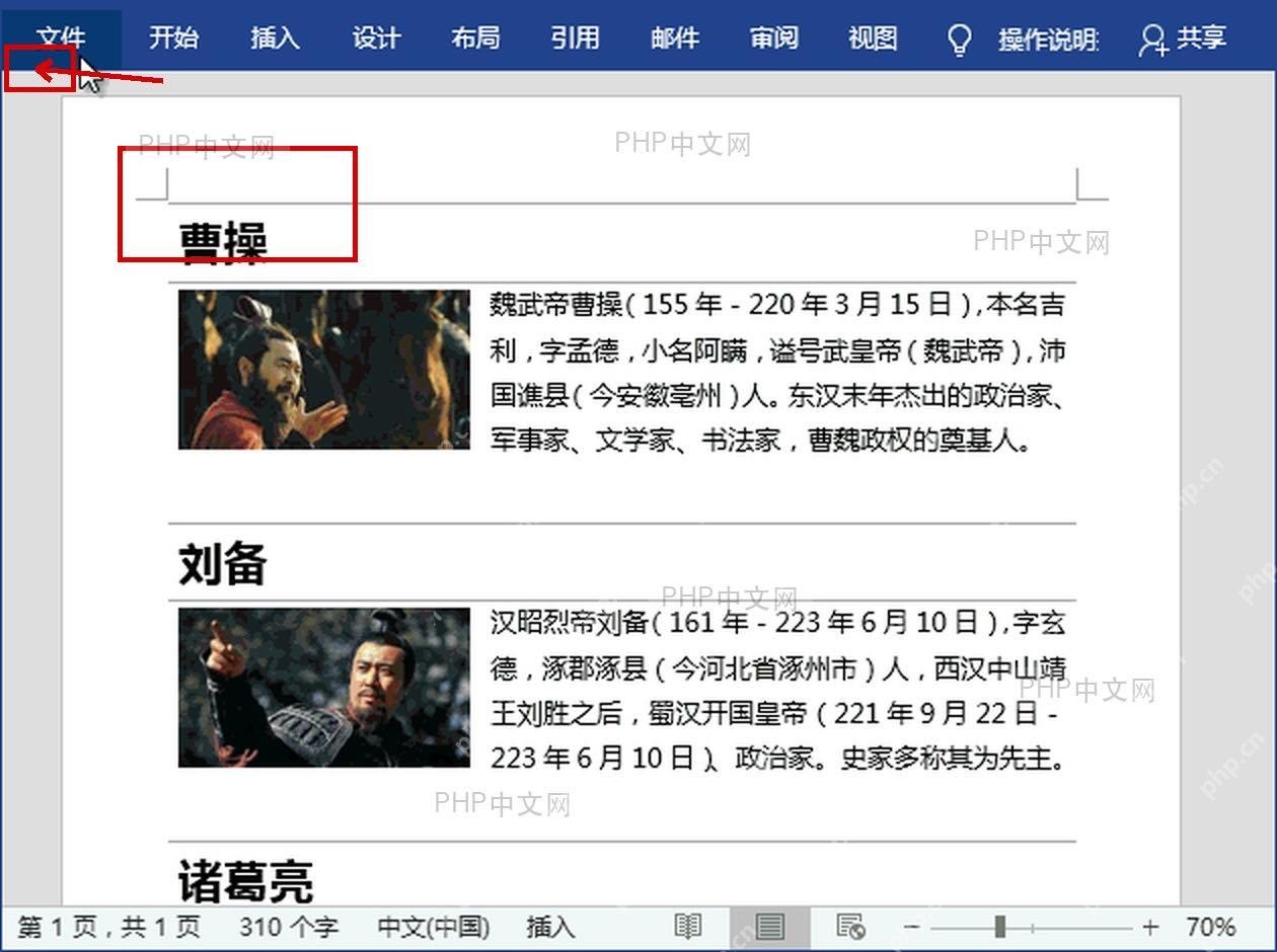 Word 文档中已插入图片并准备从文件入口导出