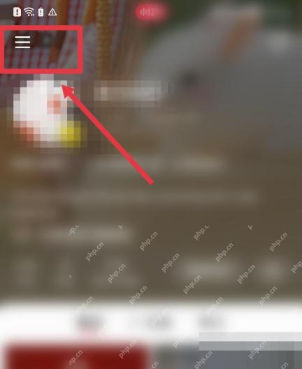 小红书个人主页关注粉丝区域,用于检查关注列表展示状态