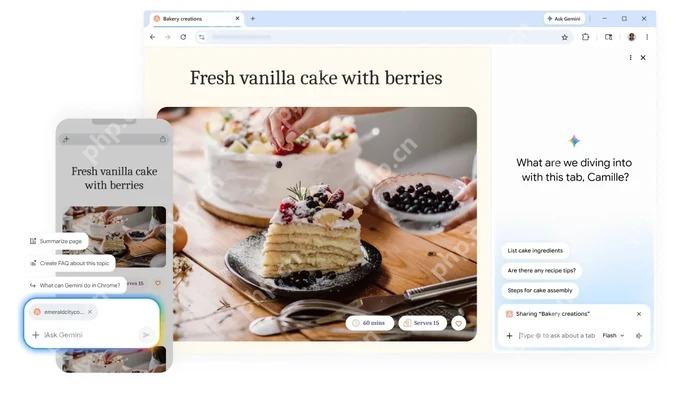Google Chrome 官方软件封面