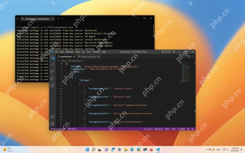 Win11 VS Code 打开 winget 导出的 exported.json 并显示 PackageIdentifier