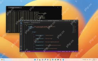 Win11 VS Code 打开 winget 导出的 exported.json 并显示 PackageIdentifier