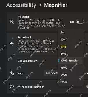 Win11 Magnifier 页面展开 Zoom increment 缩放增量选项
