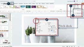 PowerPoint 设计选项卡中打开幻灯片大小并查看宽屏尺寸设置
