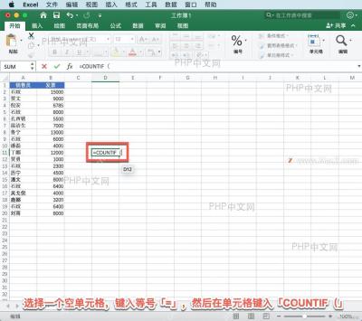 Excel 单元格中输入 COUNTIF 公式并显示参数提示