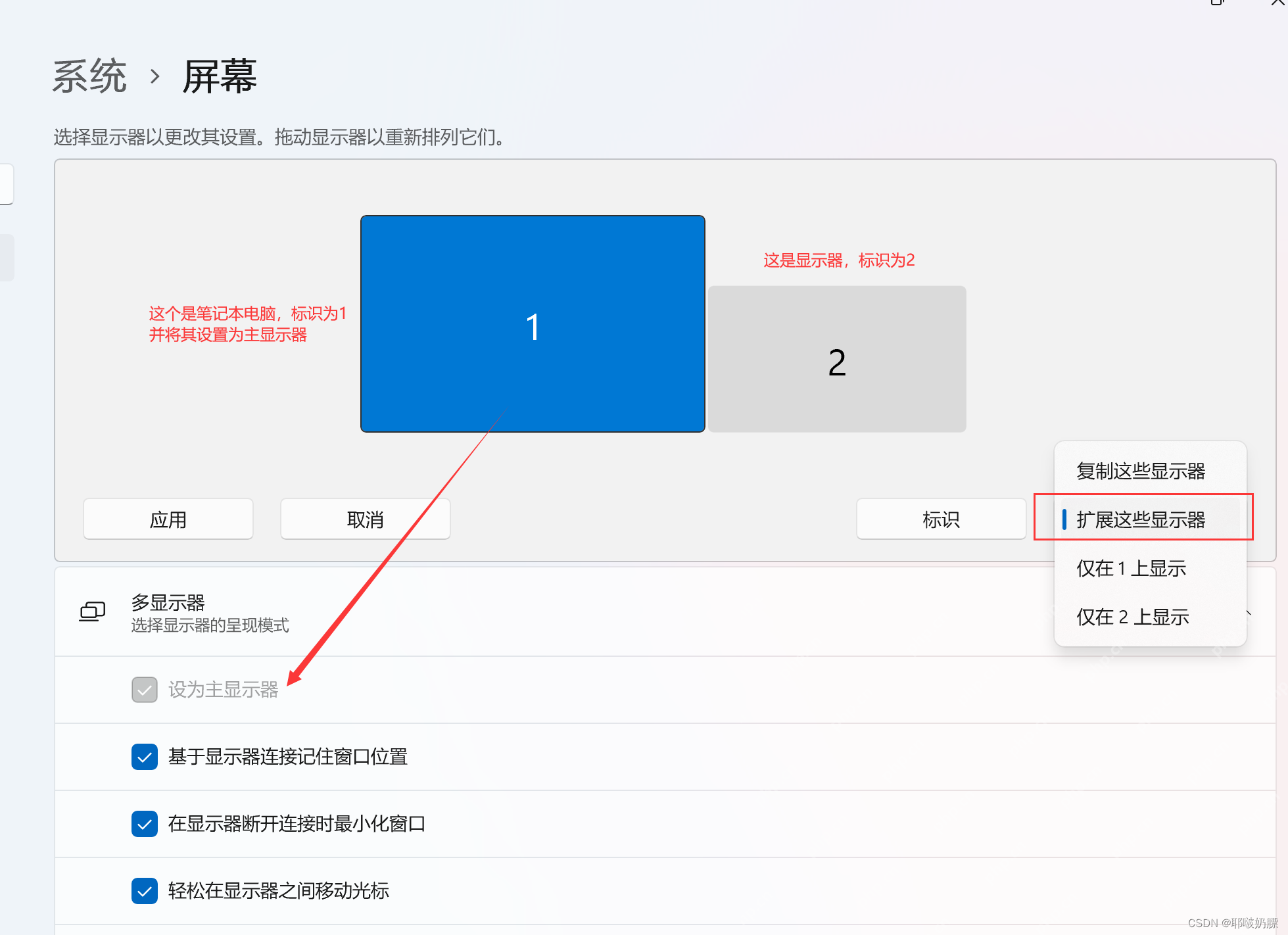 Windows 11 多显示器设置中勾选设为主显示器