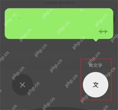 设置语音转文字识别选项 微信键盘语音转文字和识别语言设置页面