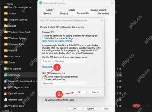 Win11 高 DPI 设置窗口勾选替代高 DPI 缩放行为