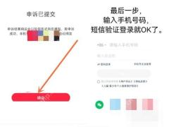 小红书账号找回提交后的下一步提示，用于继续验证手机号