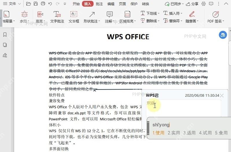 如何在PDF文档中插入替换符？结果检查