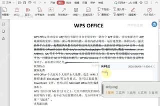如何在PDF文档中插入替换符?结果检查