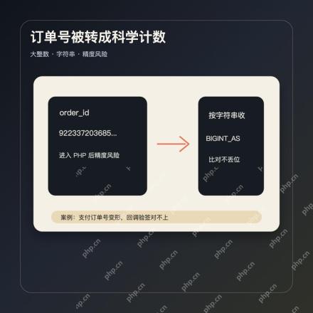 PHP JSON 大整数订单号精度排查案例