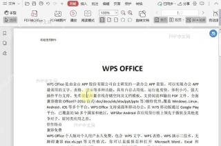 如何删除PDF文档中的区域高亮?结果检查