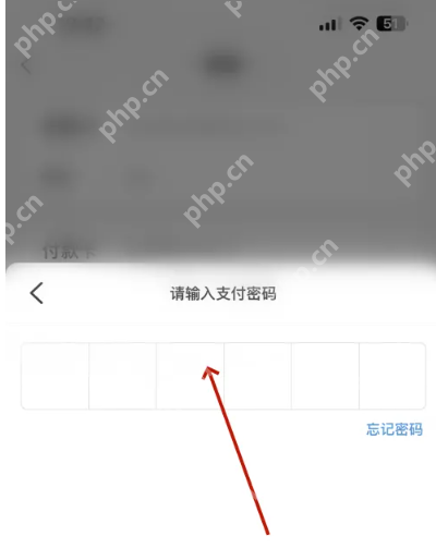 云闪付转账支付密码验证界面_云闪付怎么转账给别人_云闪付转账付款操作指南 - php中文网