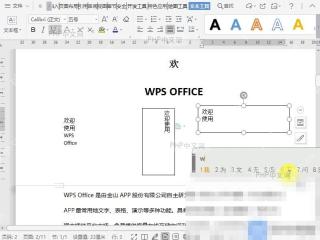 Word如何插入多行文字类型的文本框?设置效果