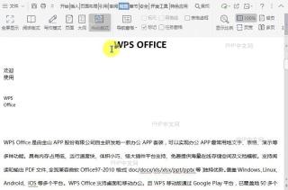 如何打开文档Web版式视图?设置效果