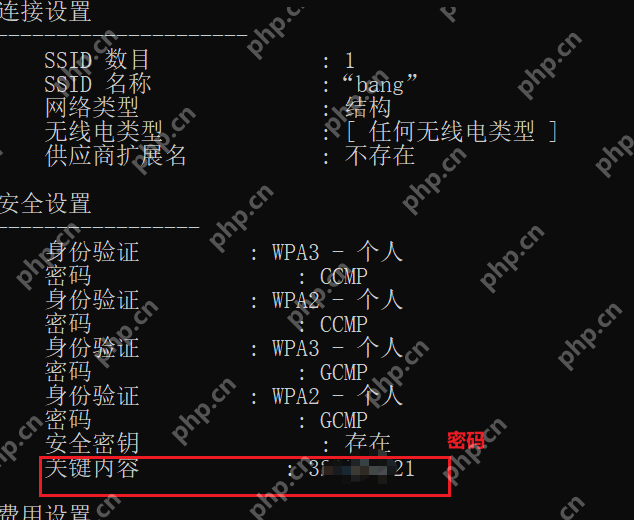Windows 命令提示符结果中显示 WiFi 关键内容密码字段