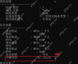 Windows 命令提示符结果中显示 WiFi 关键内容密码字段