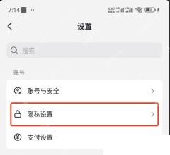 抖音设置页中的隐私设置入口,用于关闭在线状态