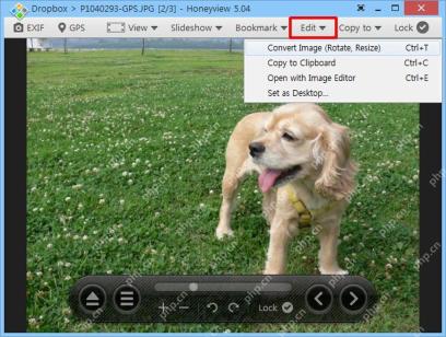 Honeyview 5.04 英文编辑菜单展开后显示 Copy to Clipboard,右侧标出 Ctrl+C