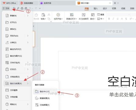 文档中图片正常显示的界面