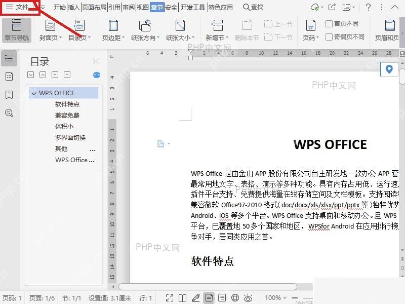 WPS 文字左上角文件菜单入口,用于进入选项设置
