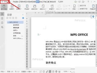 WPS 文字左上角文件菜单入口,用于进入选项设置