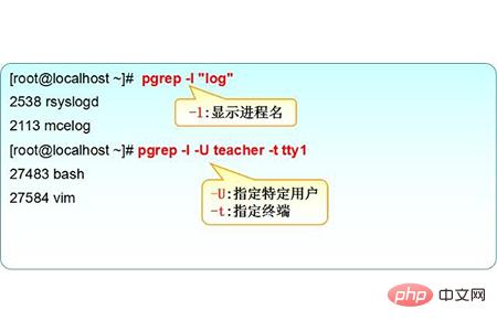 linux如何查看進程命令