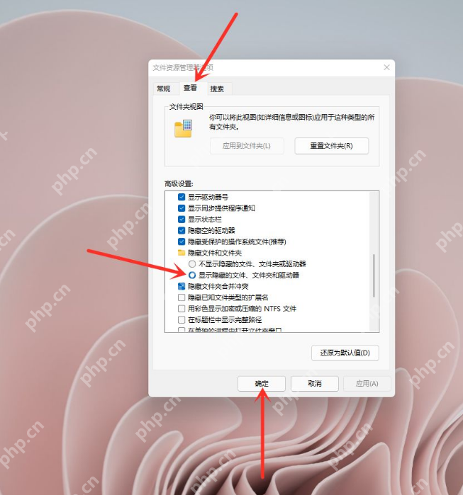 win11如何打开隐藏文件夹_win11隐藏文件夹访问与显示设置 - php中文网