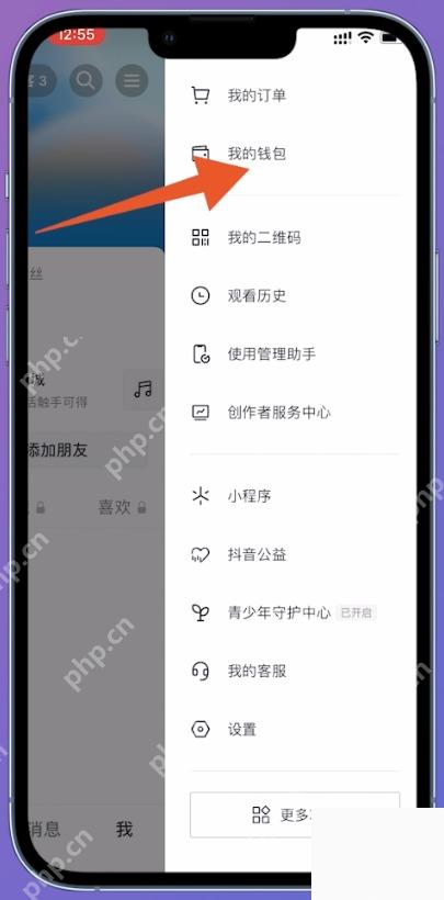抖音个人菜单中的我的钱包入口
