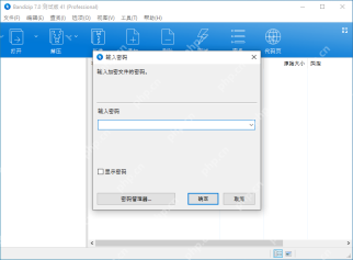 Windows 中文 Bandizip 输入密码对话框显示密码输入区和确定按钮，证明正在录入压缩包密码。