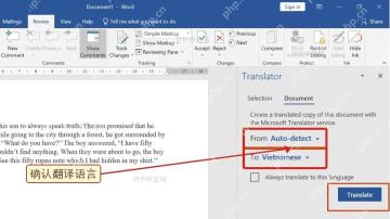 第三步:Word Translator 面板中的源语言和目标语言区域被红框标出