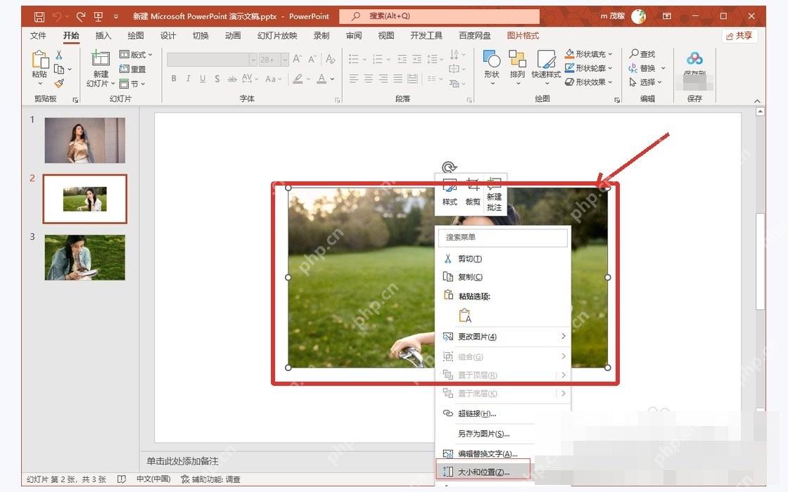 PowerPoint中选中要作为动态背景的图片