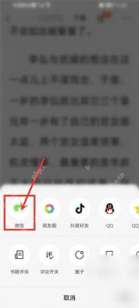 番茄免费小说分享菜单中的微信入口