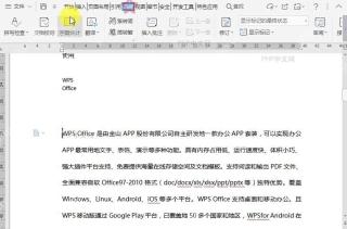 WPS如何设置文档拼写检查语言?中间操作
