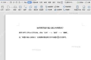如何修改图片插入默认布局格式?结果检查