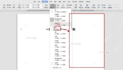 WPS 文字选择 A3 后文档页面在编辑区重新按大纸张比例显示