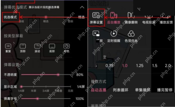 哔哩哔哩弹幕设置中的弹幕字号滑块
