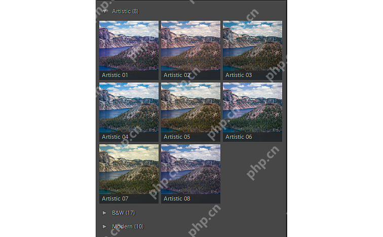 Lightroom Classic Windows 版英文 Artistic 艺术配置文件缩略图列表,展示多种滤镜风格