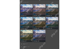 Lightroom Classic Windows 版英文 Artistic 艺术配置文件缩略图列表，展示多种滤镜风格
