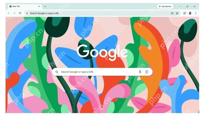 Google Chrome 官方软件封面