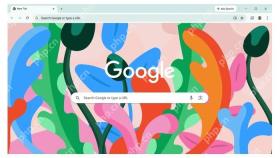Google Chrome 官方软件封面