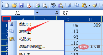 So kopieren Sie Excel-Tabelle1 nach Tabelle2